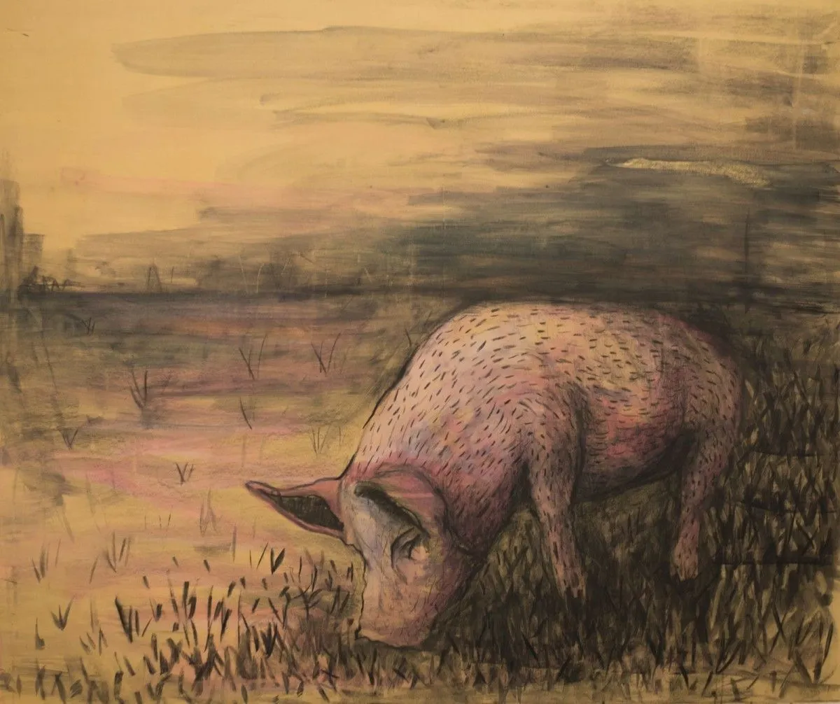 pork, œuvre de Fot Trasan