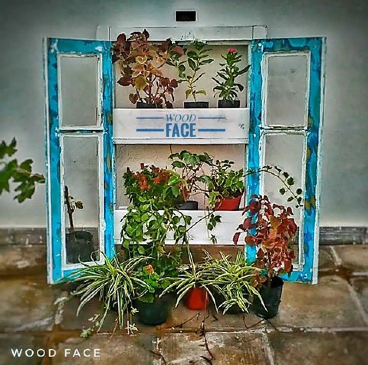 Forest Window, œuvre de Idriss SASSI