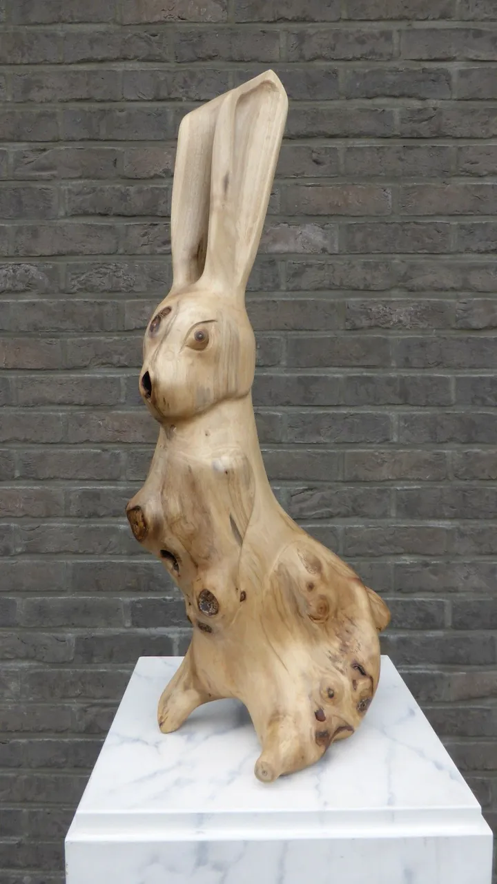 HARE, œuvre de Jan Van Braekel