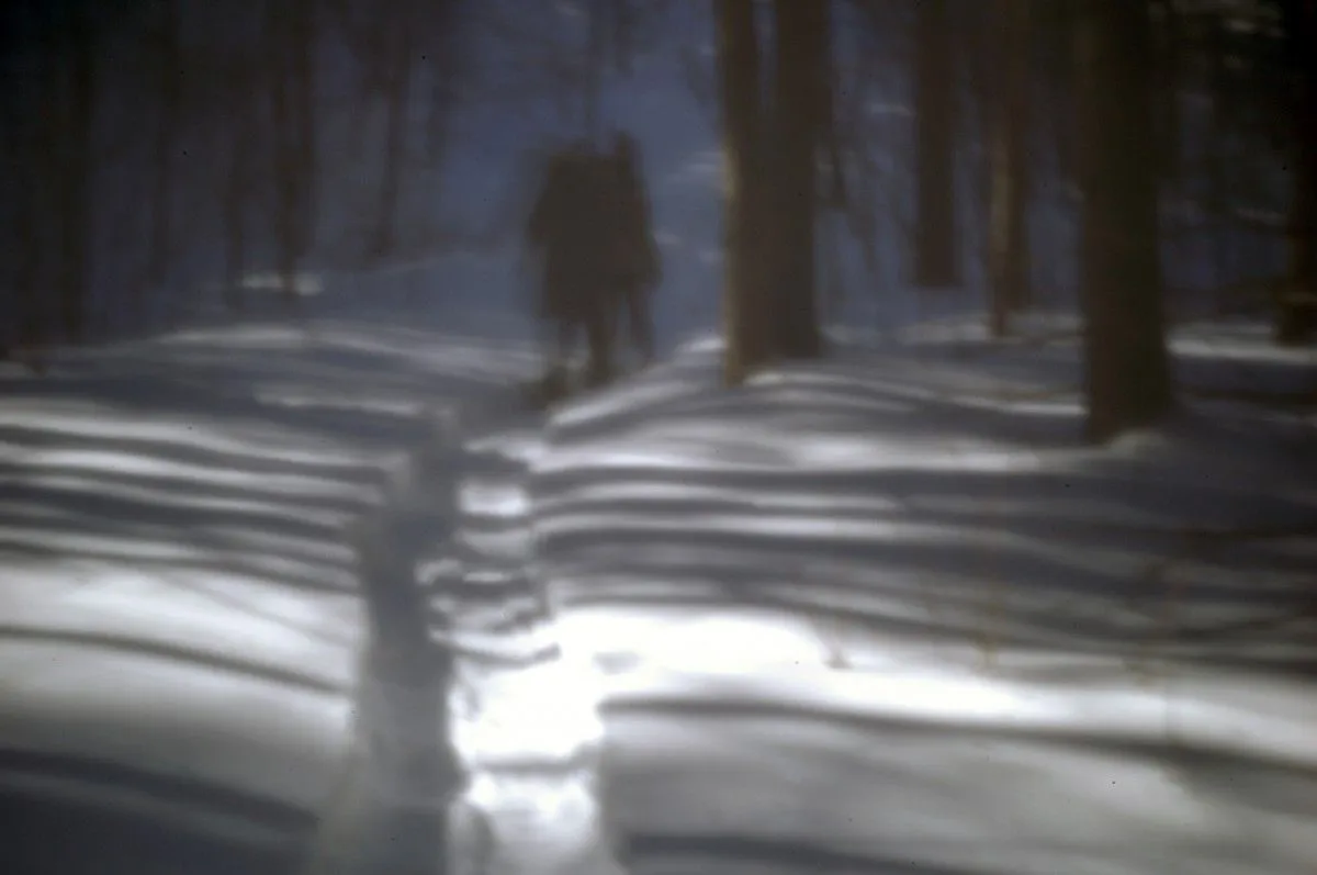 La traversée des ombres, œuvre de André Paquin