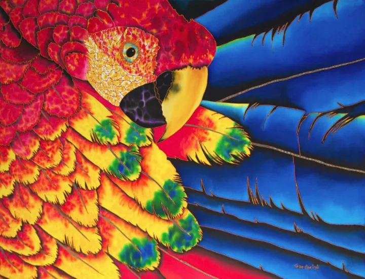 Scarlet Macaw, artwork by Daniel Jean-Baptiste