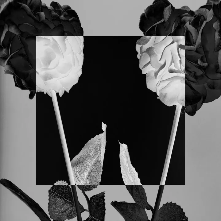 LOVE IS BUT A WORD B&W (no lettering), œuvre de NUNO MEIRA