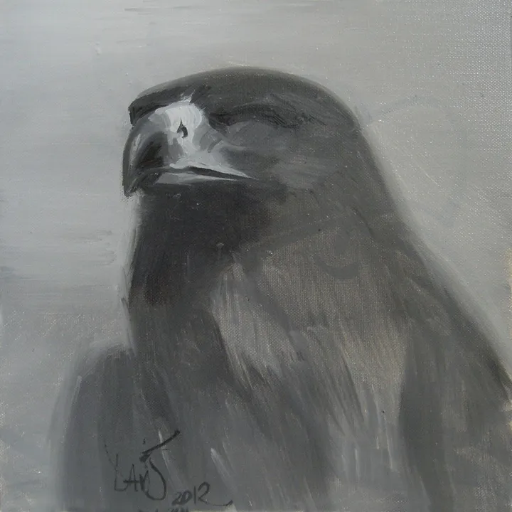 Musée d'Art Moderne, Département des Aigles #2 (Paintings), œuvre de Davis Lisboa