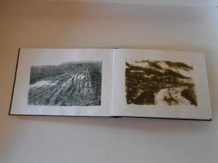 livre " Les silences immoiles des routes de campagne", œuvre de Colette Leroy