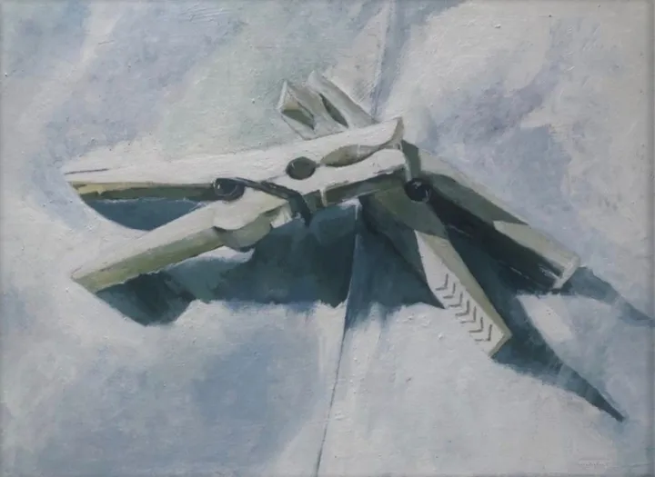 Clothing Clips, œuvre de Lea Laboy