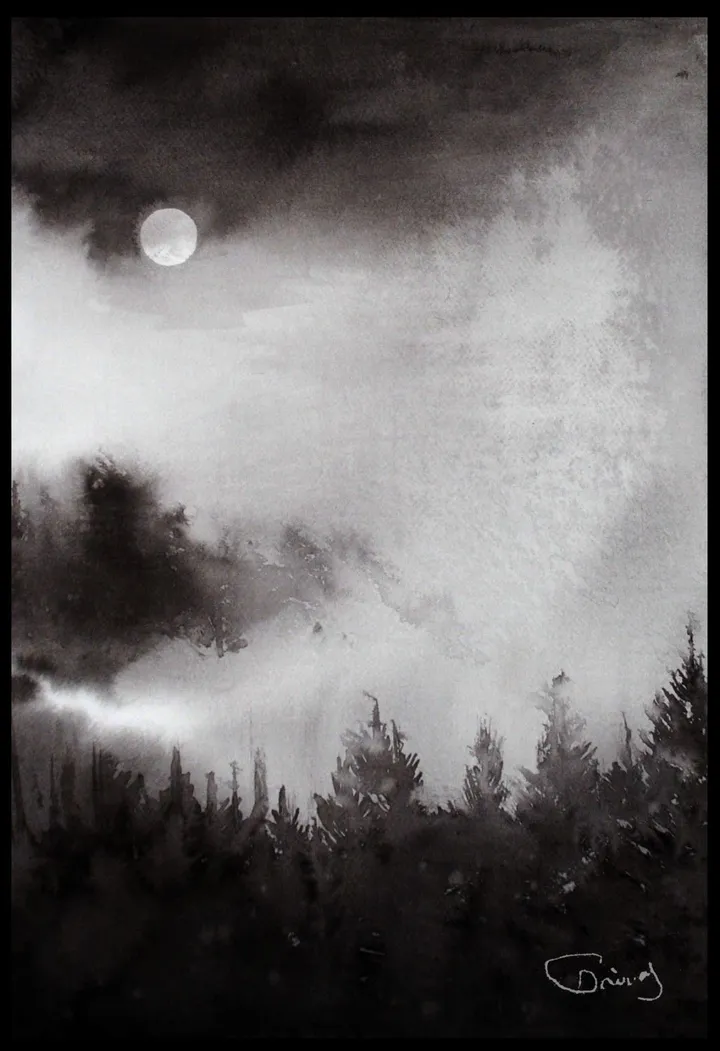 Insomnia, œuvre de Darina Gayvas