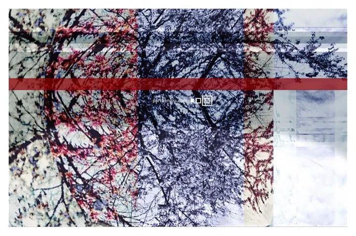 Fusion Spring, œuvre de Panos Partheniou