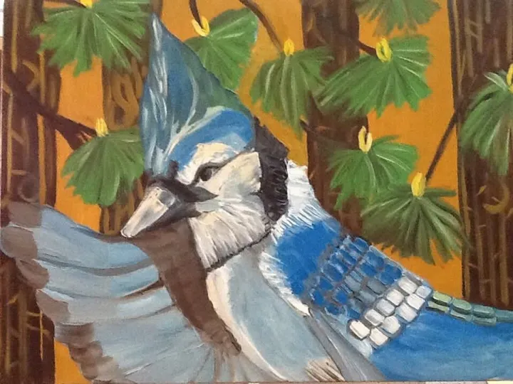 Maryland bluejay, artwork by Ligia Moya