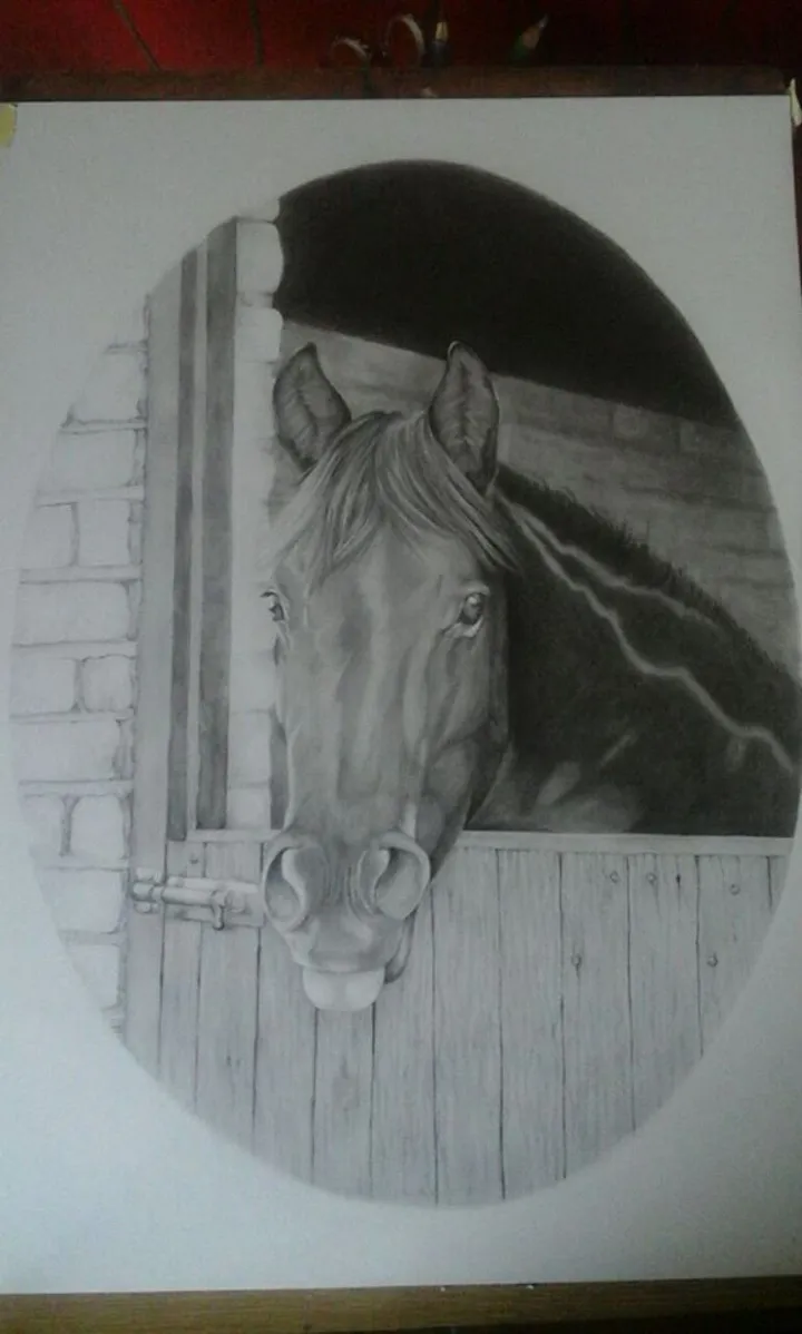 horse fun, œuvre de Mel Haarhoff