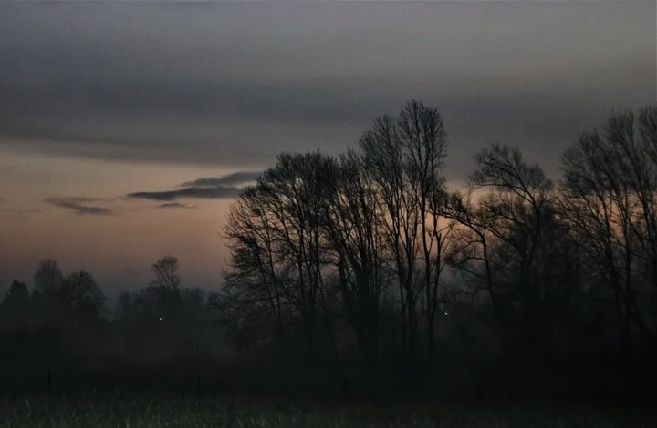 NSV 5, œuvre de Julien Nalia
