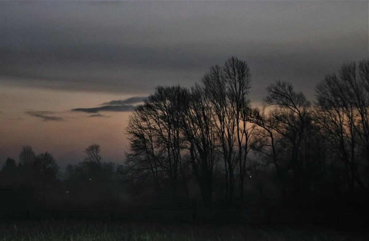 NSV 5, œuvre de Julien Nalia