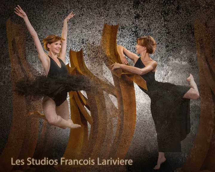 Pas de deux #4, œuvre de Francois Lariviere