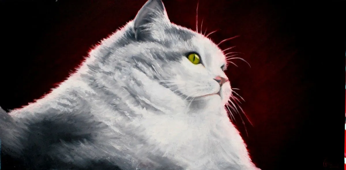 Frimousse, œuvre de Artémo par Christine Bélanger