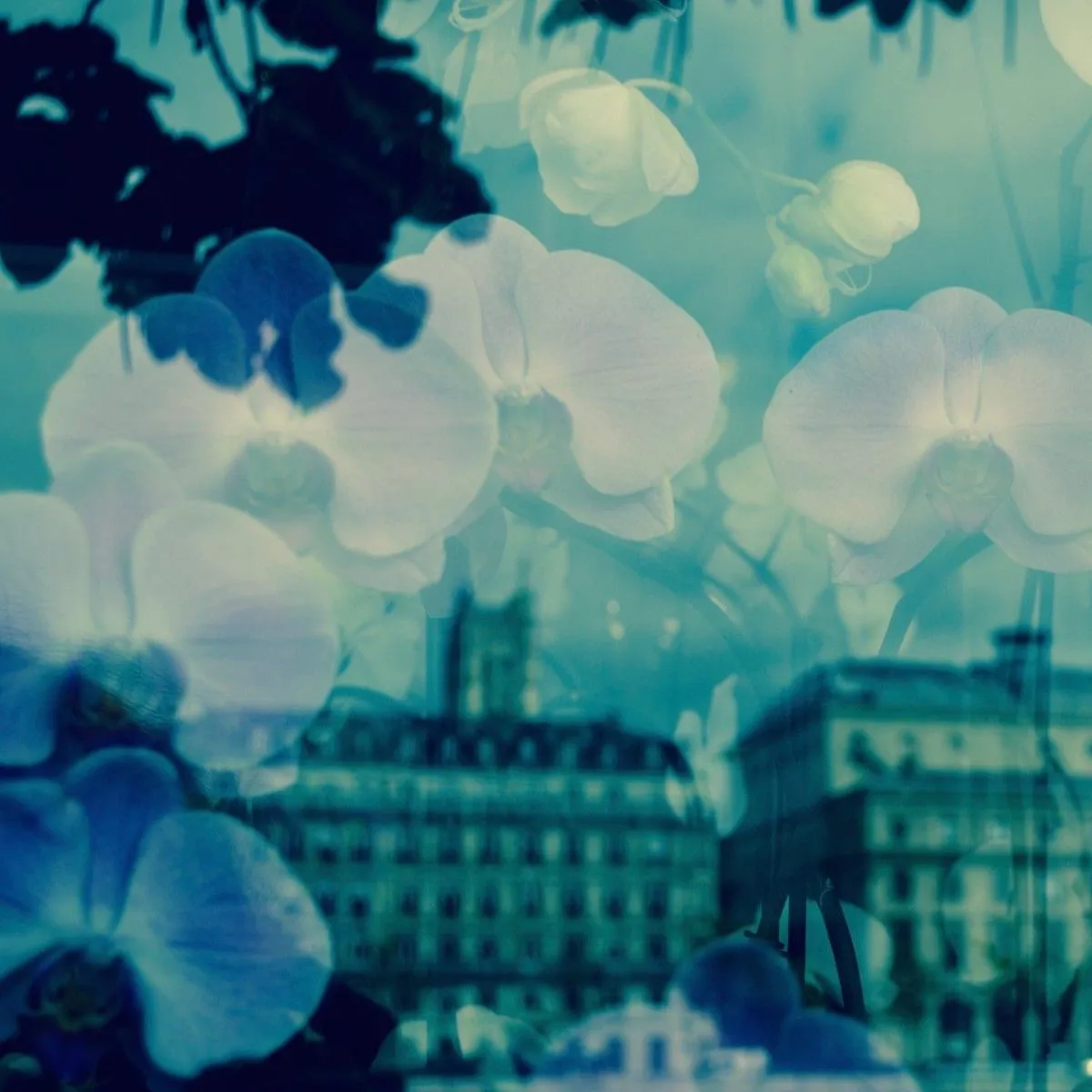 Paris en Fleurs non en Pleurs, artwork by Irena Iris
