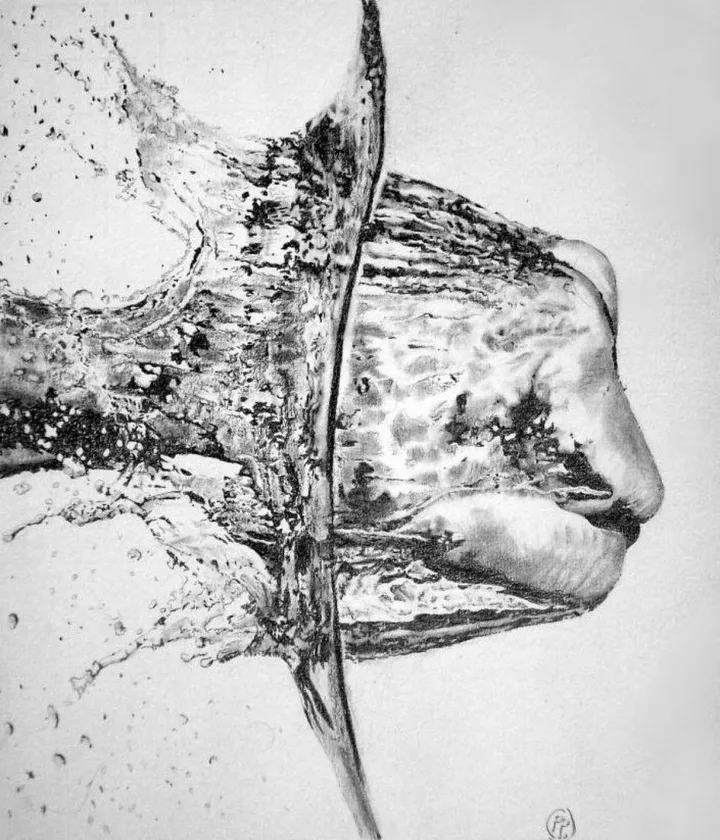 Coup dans l'eau, œuvre de Patrick Pletinckx