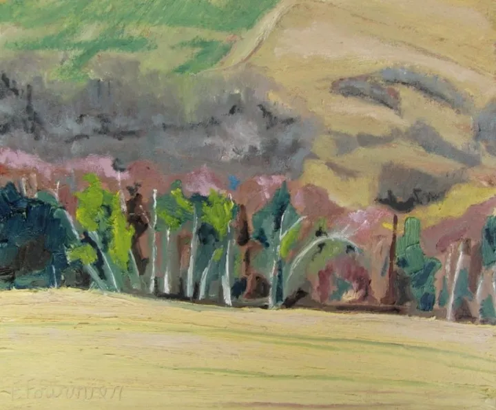 Spring In The Appalachians, œuvre de Francois Fournier