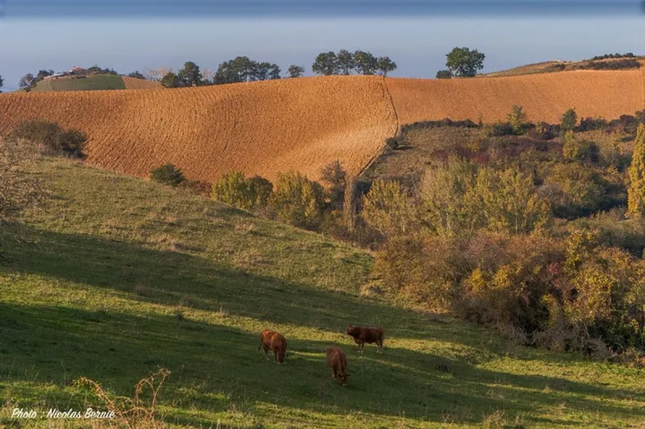 Paysage du Comminges bis, œuvre de Nicolas Bernié