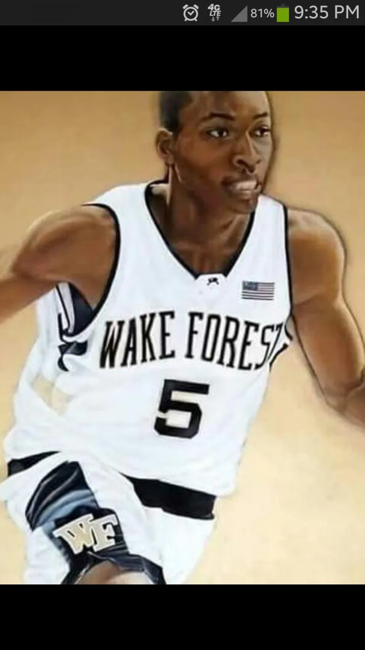Josh Howard, artwork by Taddeucci Angelina