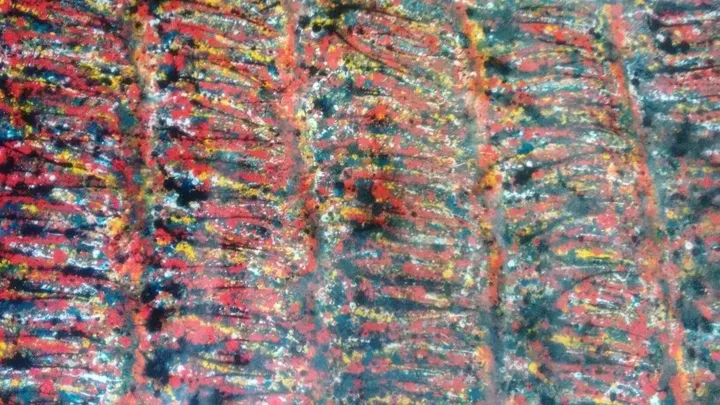 Camadas, œuvre de Jose Luiz dos Santos