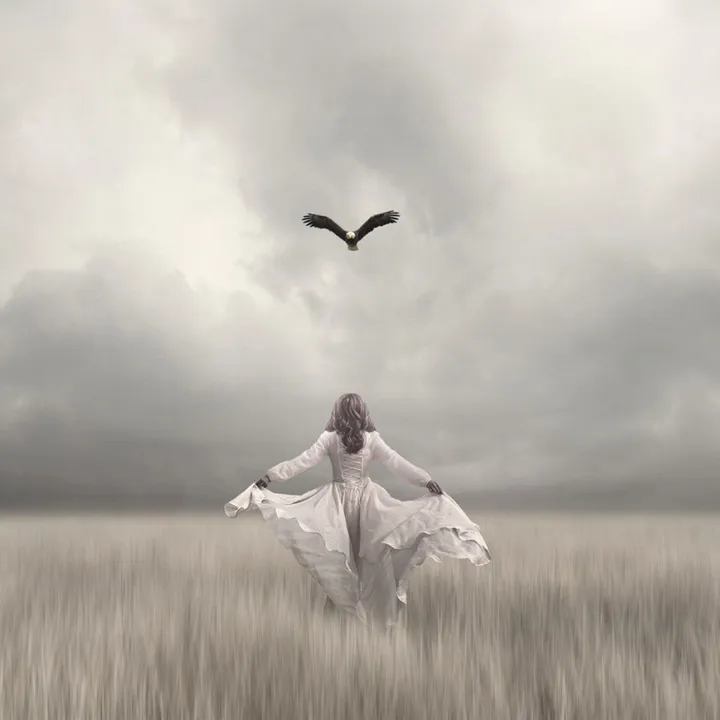 teach me how to fly, œuvre de Phil Mckay