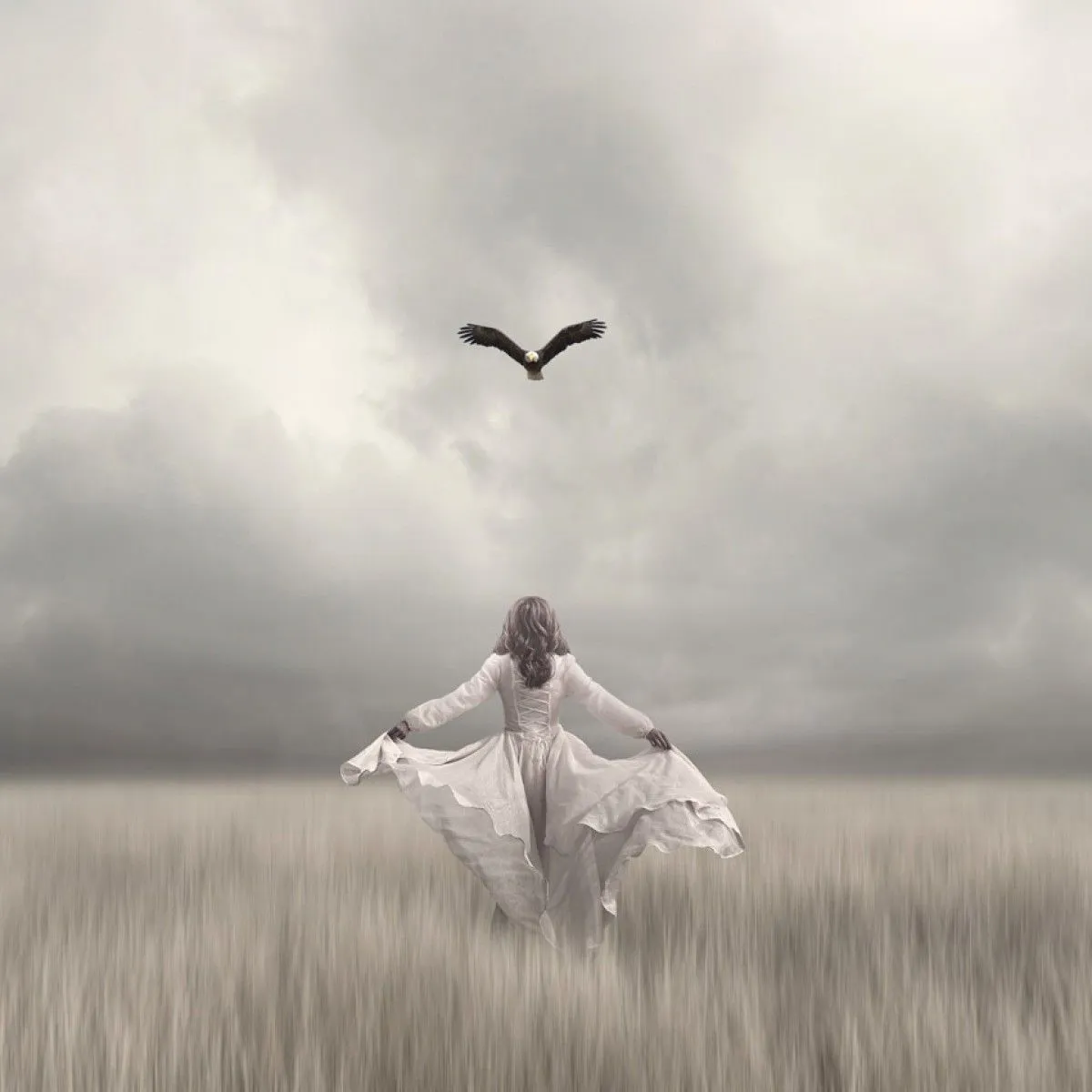 teach me how to fly, œuvre de Phil Mckay