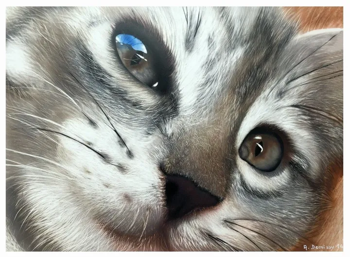 LE CHAT, œuvre de Alain DEMISSY