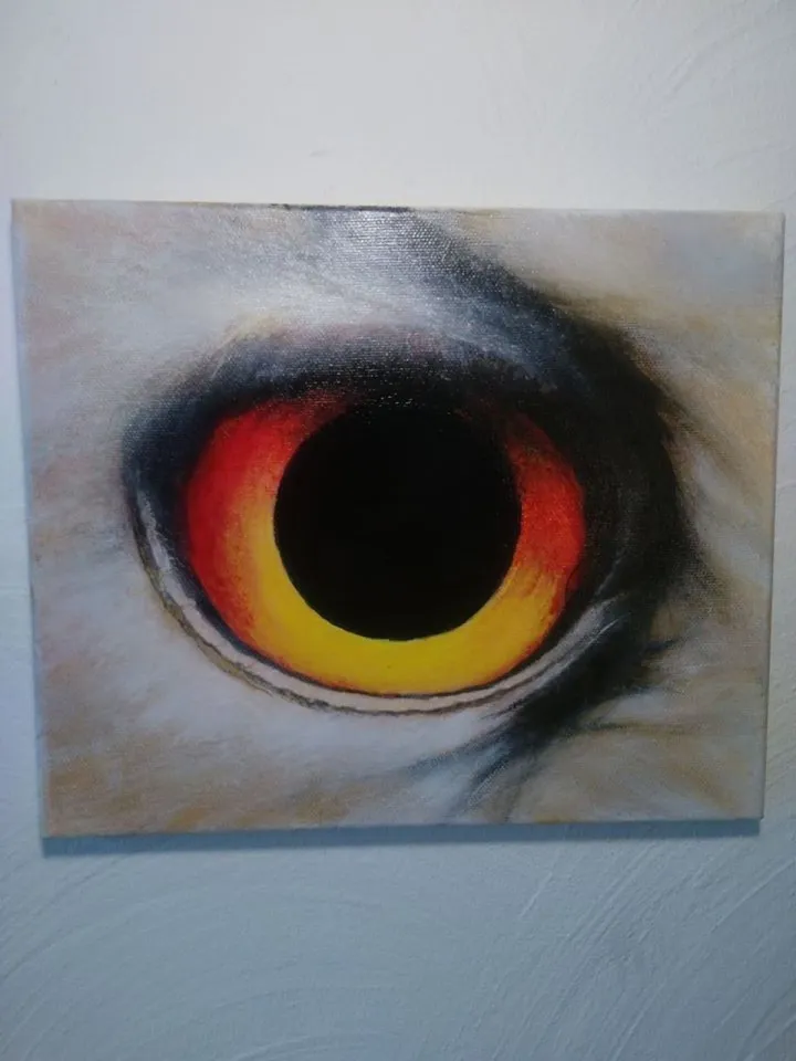 œil d aigle, œuvre de jean marc zunino
