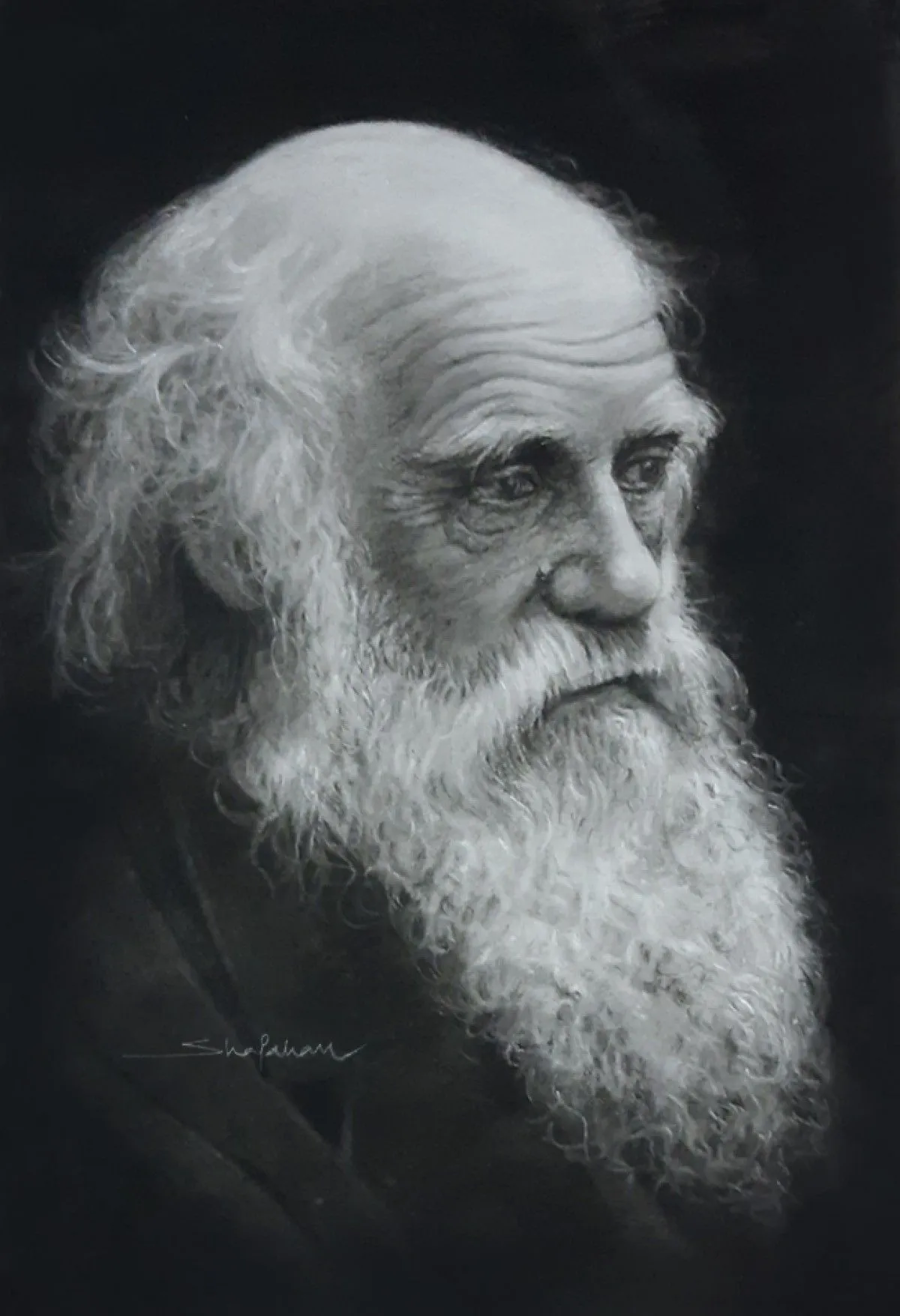 Charles Darwin, artwork by Shajahan Parassery