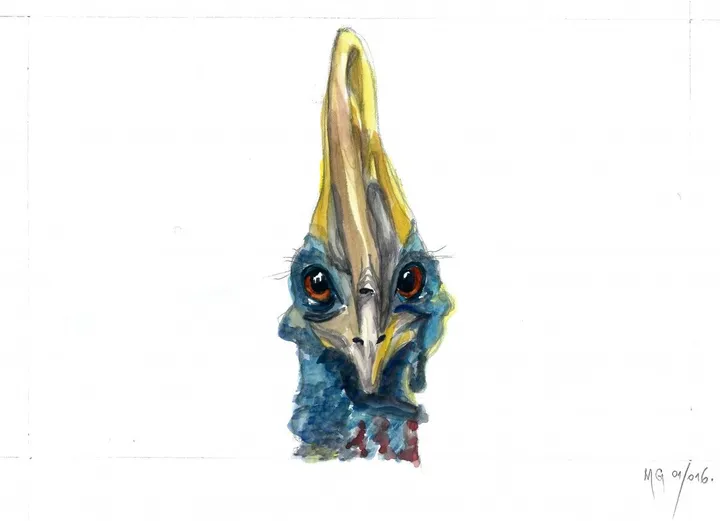Cassowary, artwork by Goran Martinovic