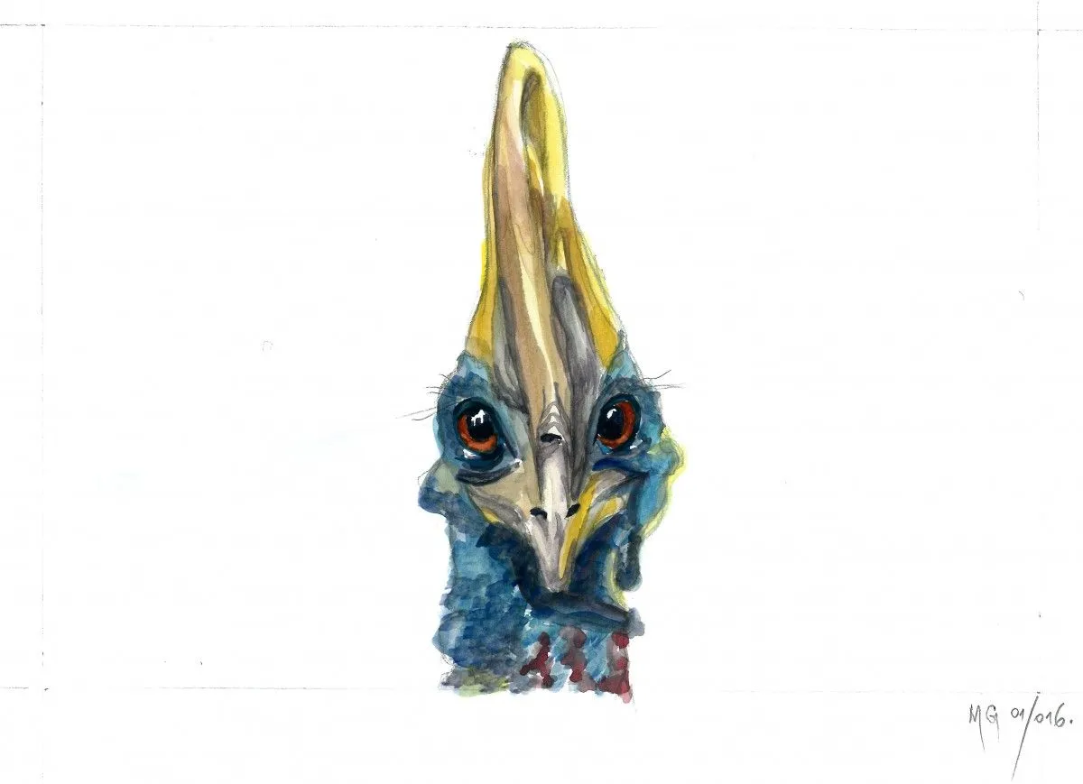Cassowary, artwork by Goran Martinovic