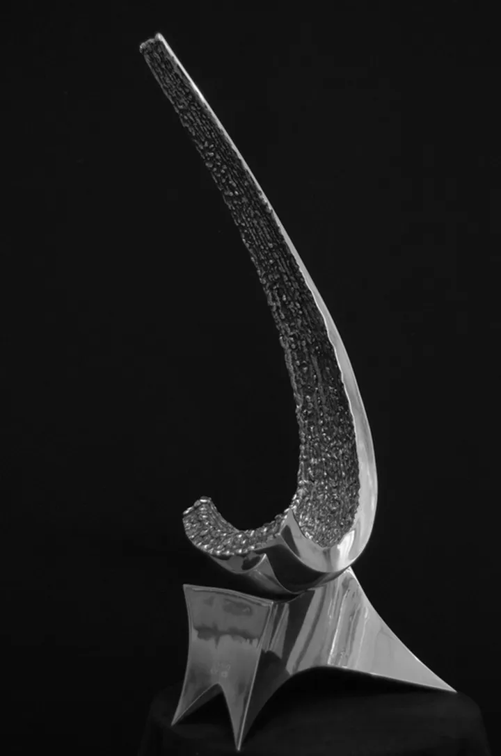 The Missing Link, œuvre de BELA SIMO