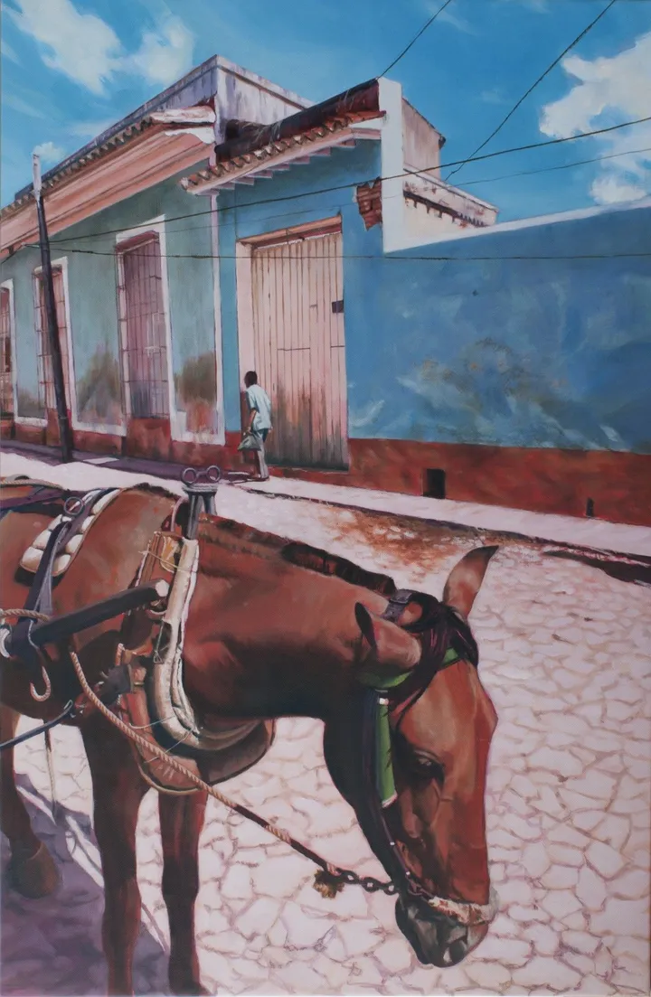 Cuba/Trinidad 5/5, œuvre de Hubert Camiglieri