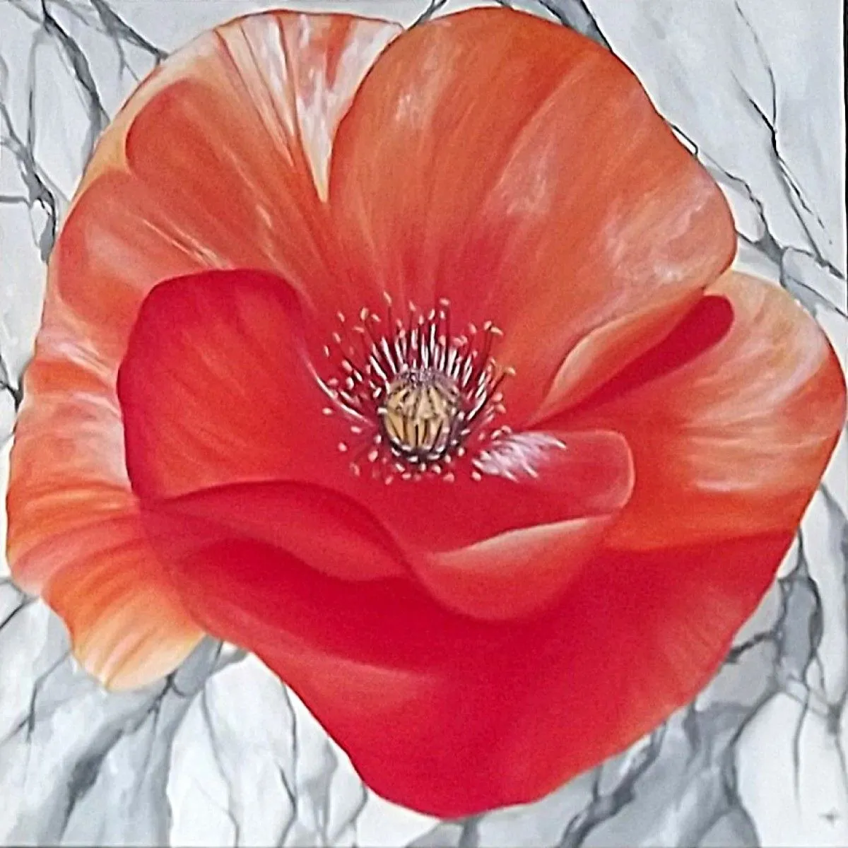 Coquelicot, artwork by Hélène Prévost