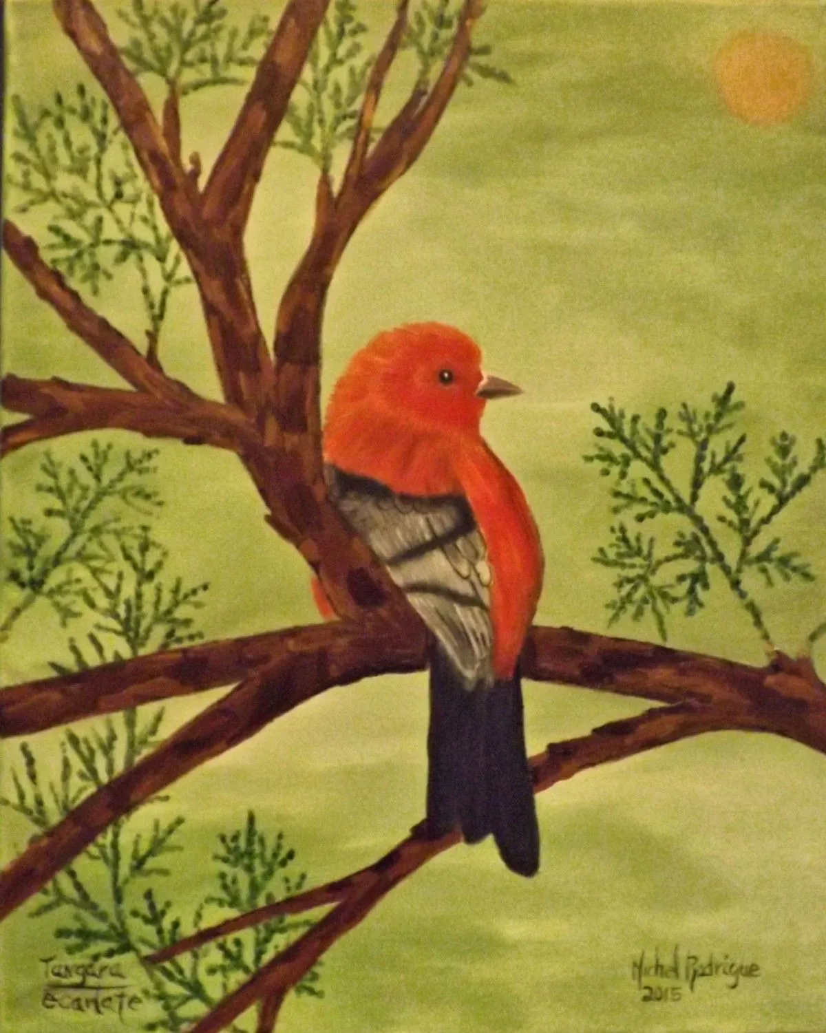 Le tangara écarlate, œuvre de MICHEL JOSEPH RODRIGUE