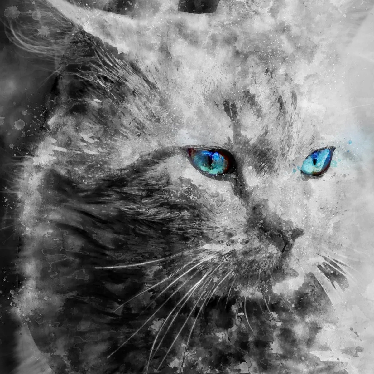 feline, œuvre de Monika Devi