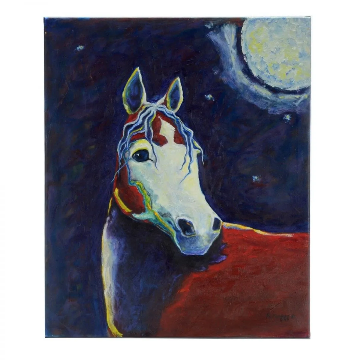 comanche moon shadows/sold, œuvre de Rebecca Manns