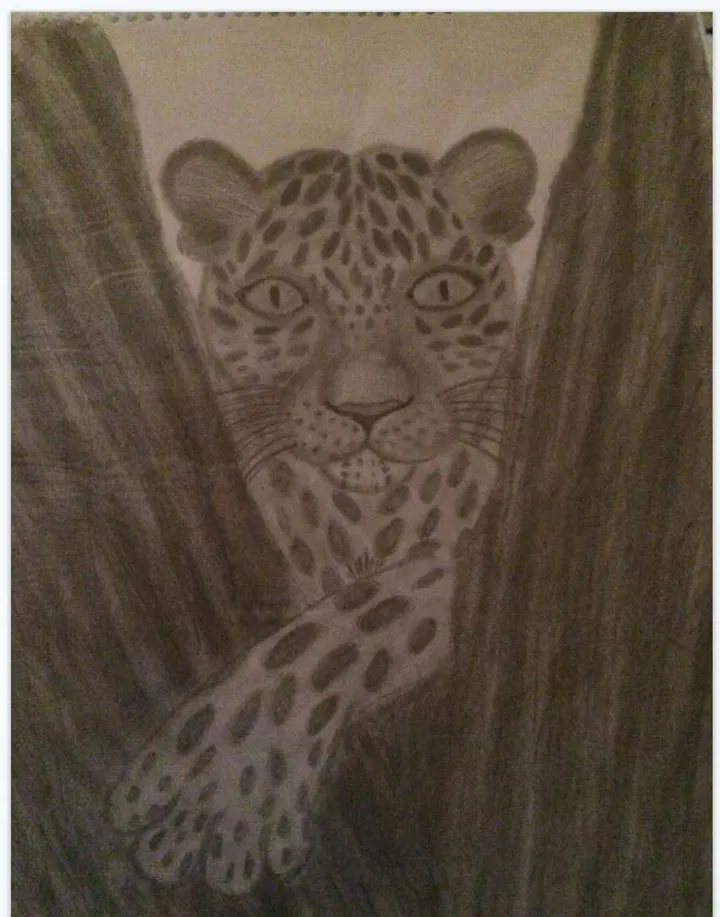 Yellow eyes, œuvre de Elsie Brummer