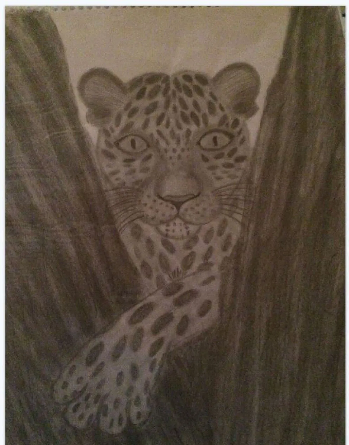 Yellow eyes, œuvre de Elsie Brummer