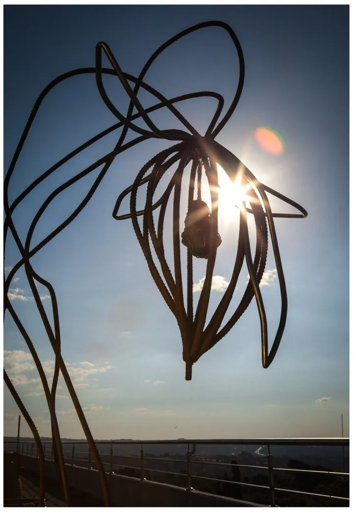 Pure potencial, œuvre de Corlene Furstenberg