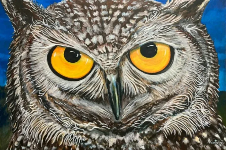 Owl, œuvre de Herman Potgieter