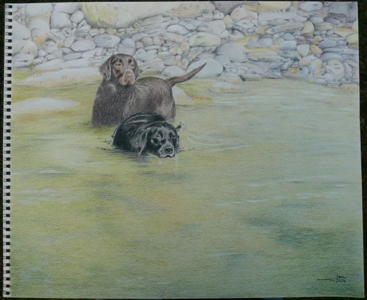 Les chiens de Luis, œuvre de Jan Malamud