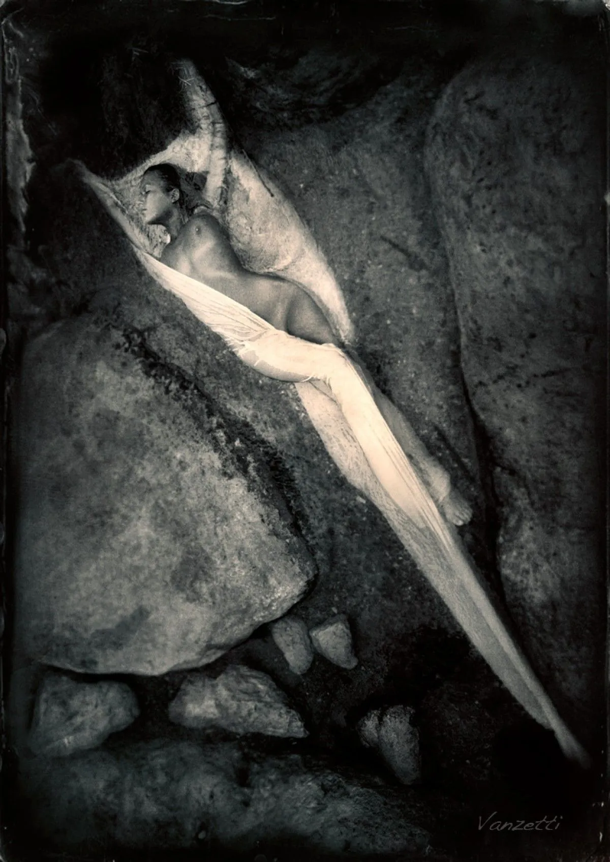 The Knife, artwork by Alex Vanzetti