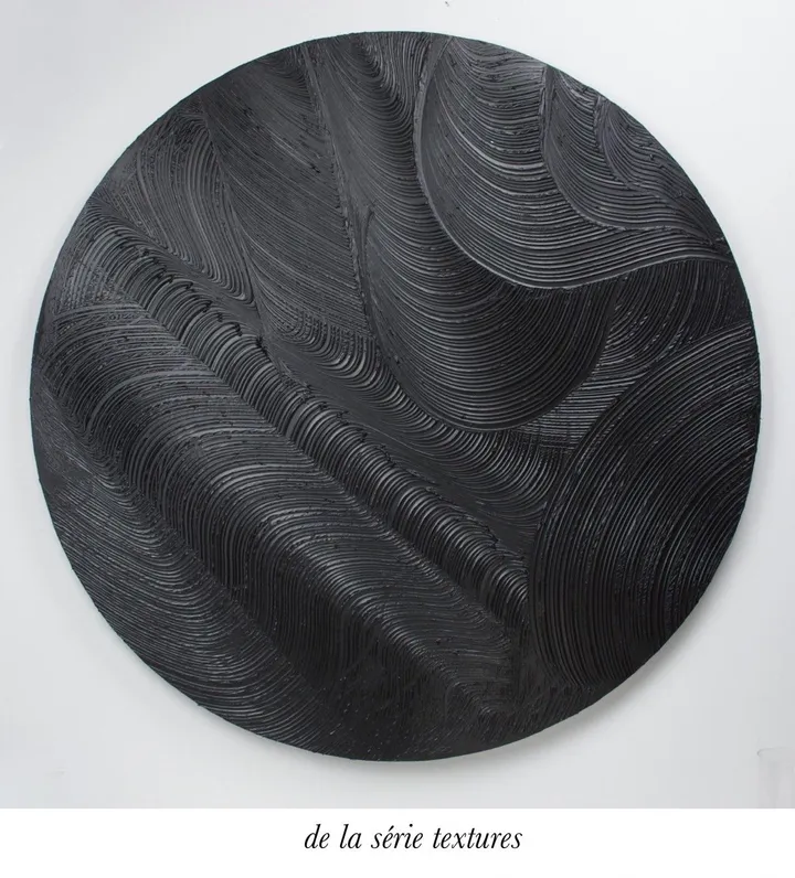 WILD NIGHT, œuvre de Richard Lalonde