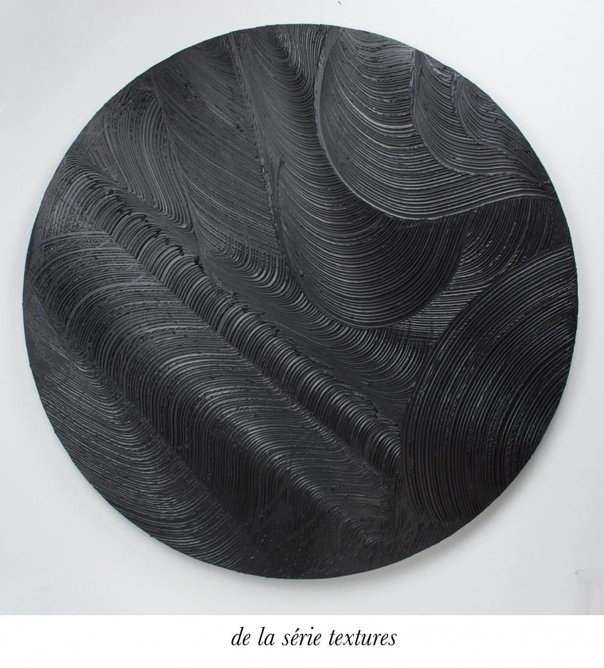 WILD NIGHT, œuvre de Richard Lalonde