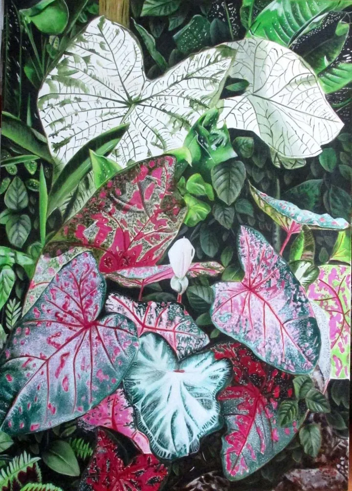 Things that grow in my garden, œuvre de suZahn King
