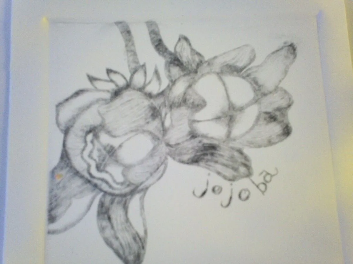JOJOBA, œuvre de Marta Aragón
