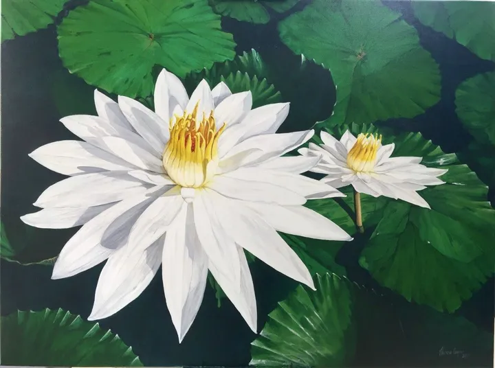 Waterlillies, Niger, œuvre de Theresa Cooper