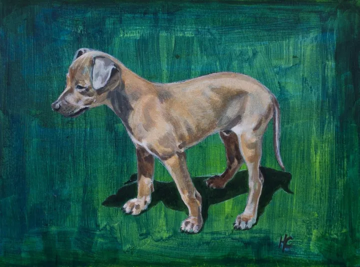 Côté Animal 4/6, artwork by Hubert Camiglieri