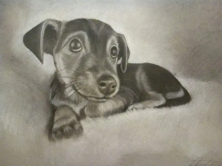 Dog 2, œuvre de Richard David Mant