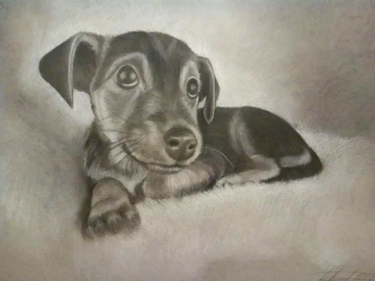 Dog 2, œuvre de Richard David Mant